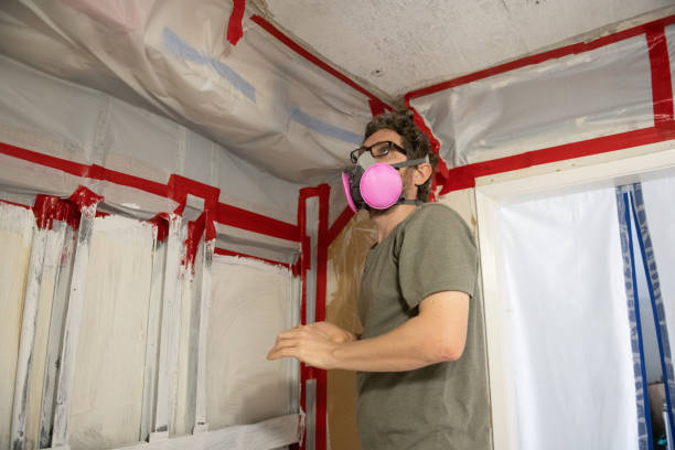 Trusted Cannelton, IN Mold Removal Experts