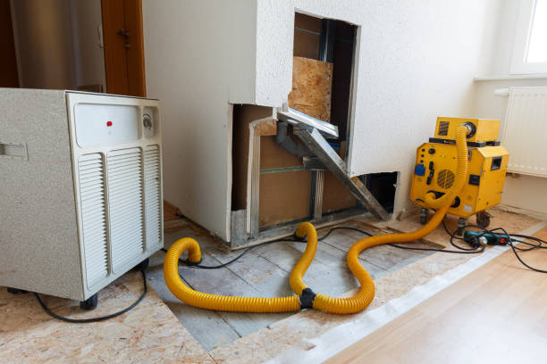 Best Residential Mold Inspection & Testing  in Cannelton, IN